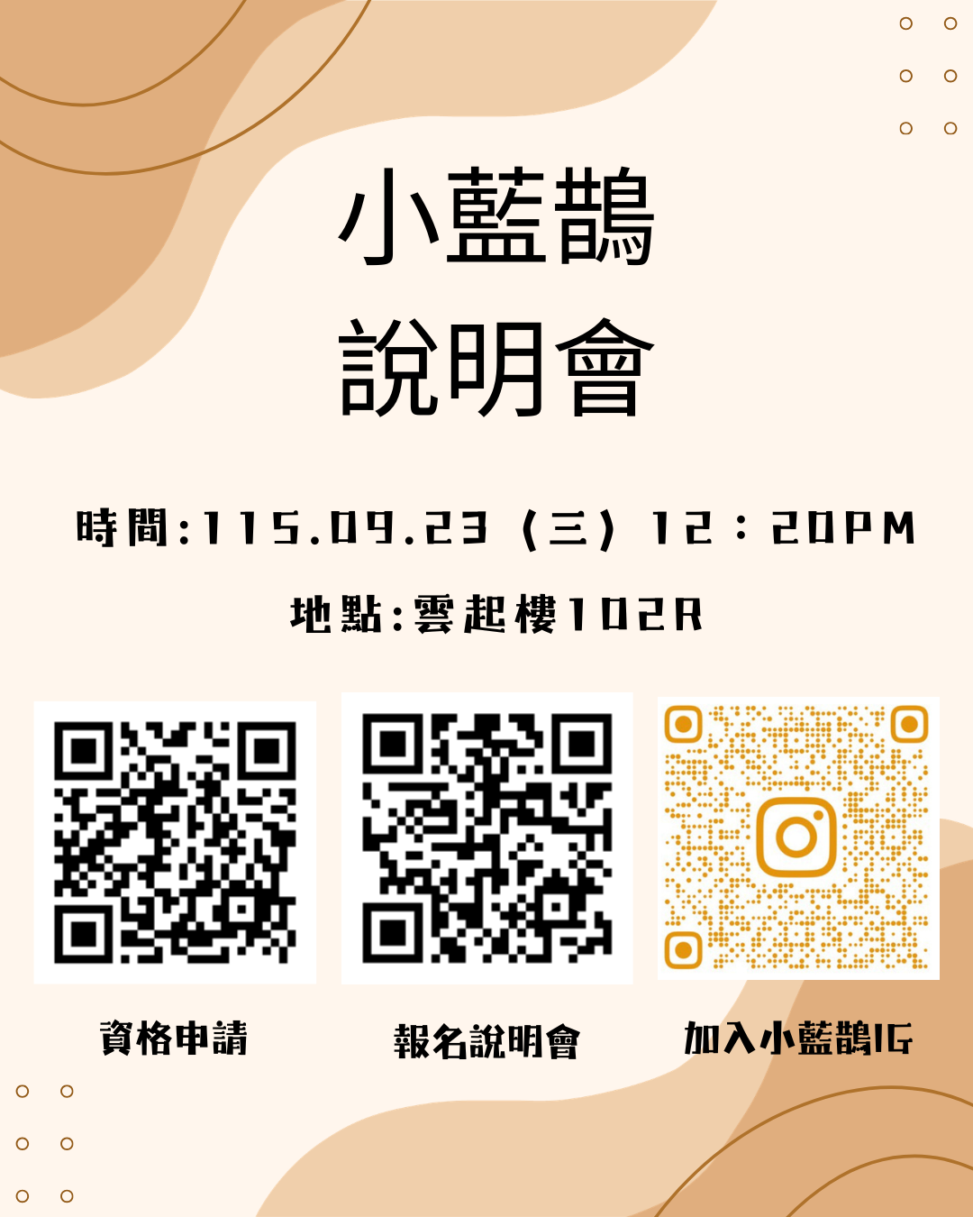 這是一張圖片